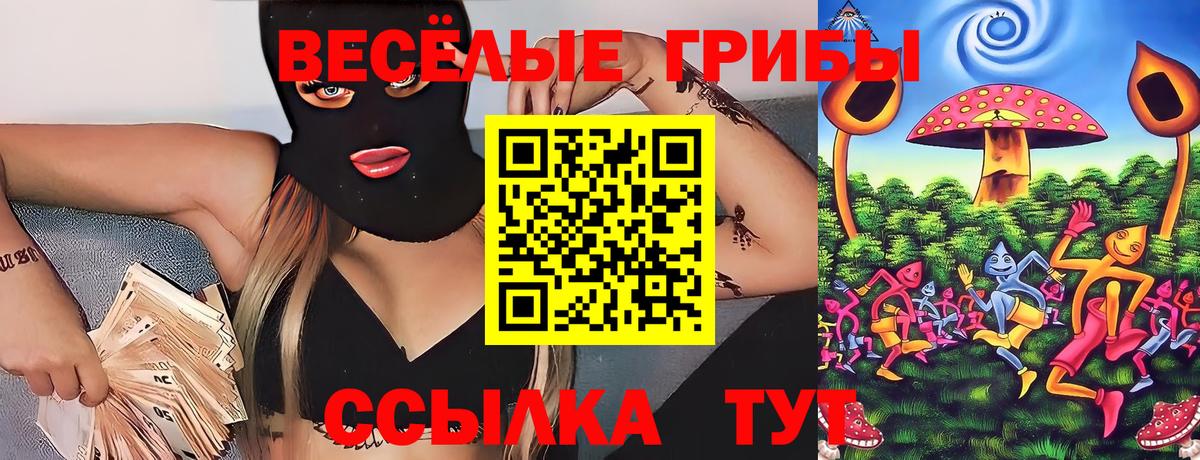 Псилоцибиновые грибы Psilocybine cubensis  сколько стоит  Вход с VPN  Зима  Псилоцибиновые грибы Magic Shrooms 
