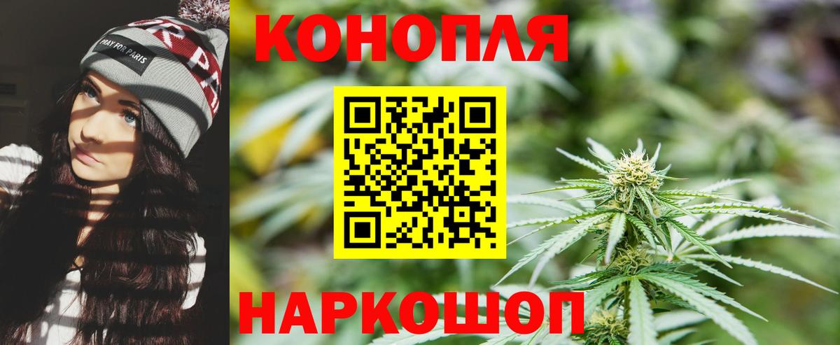 Бошки Шишки OG Kush Зима